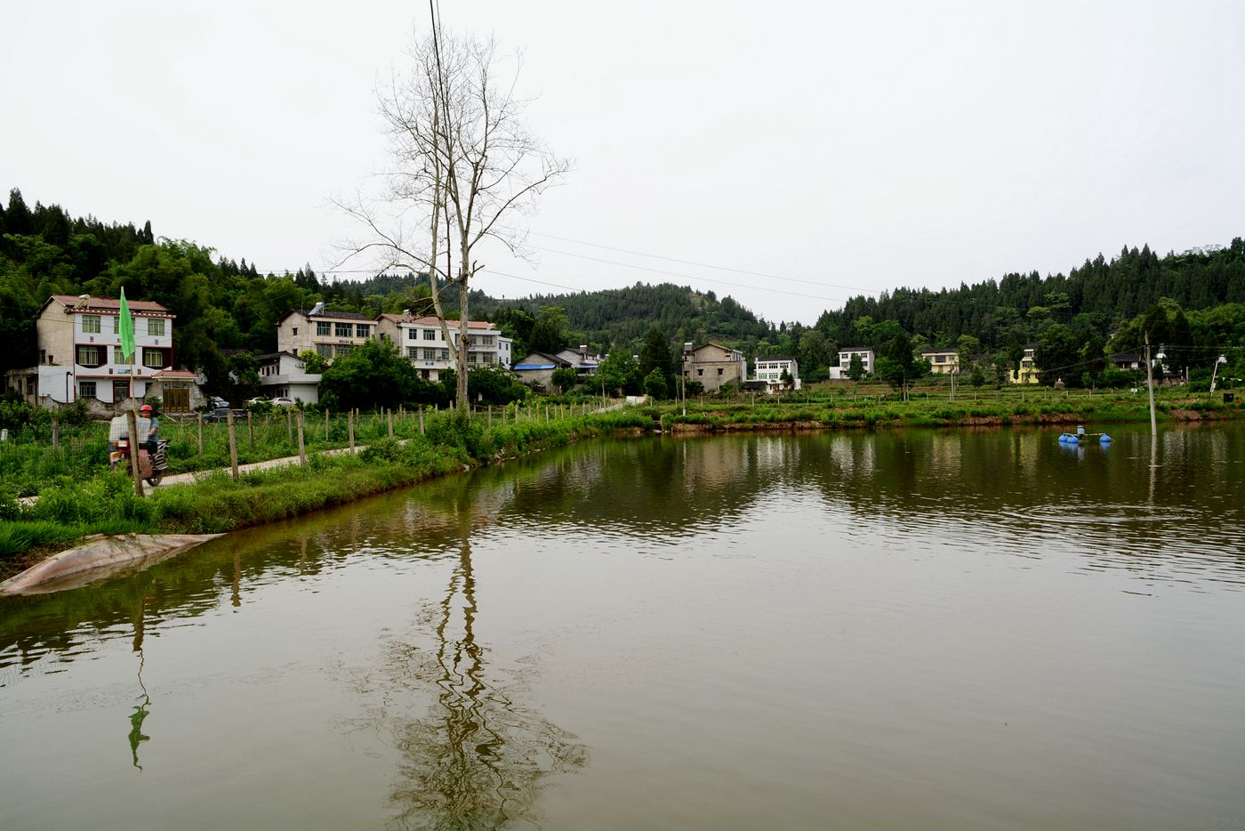 鍑夋按浜