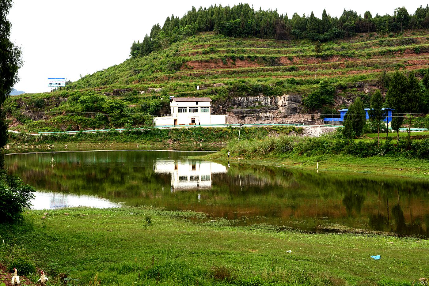 鍑夋按浜