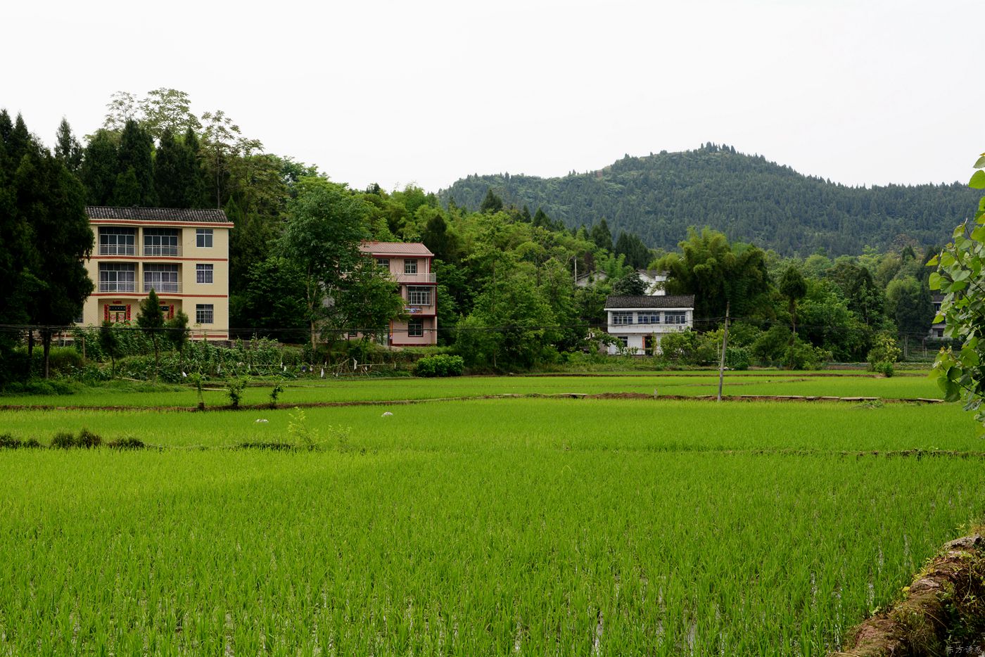 鍑夋按浜