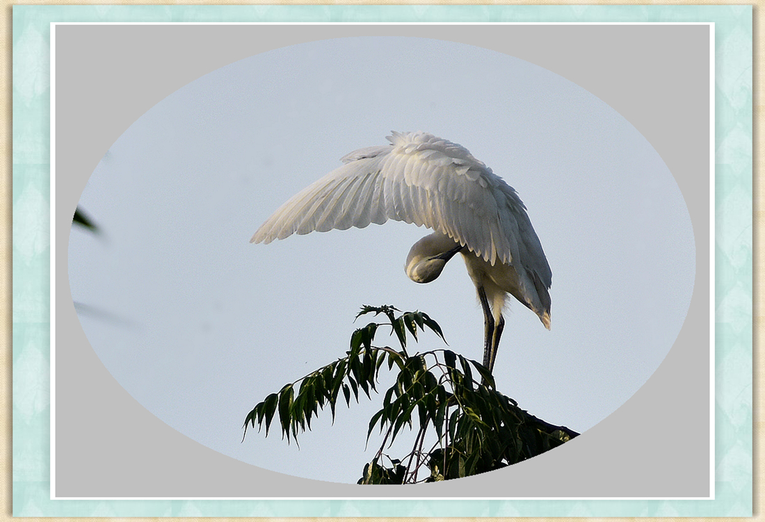 DSC_9476__conew1_.jpg