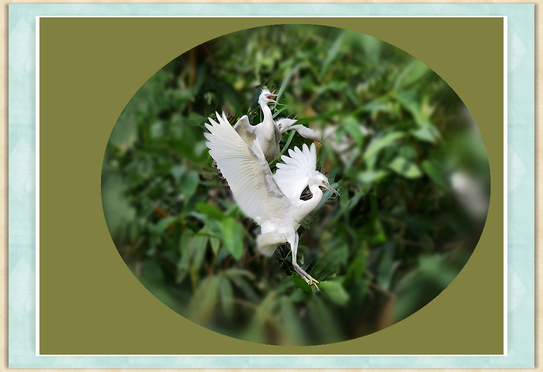 DSC_9284___conew1_.jpg