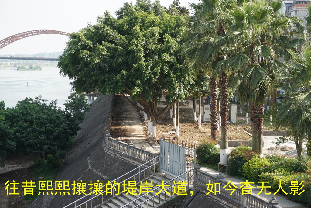 DSC05985_副本.jpg