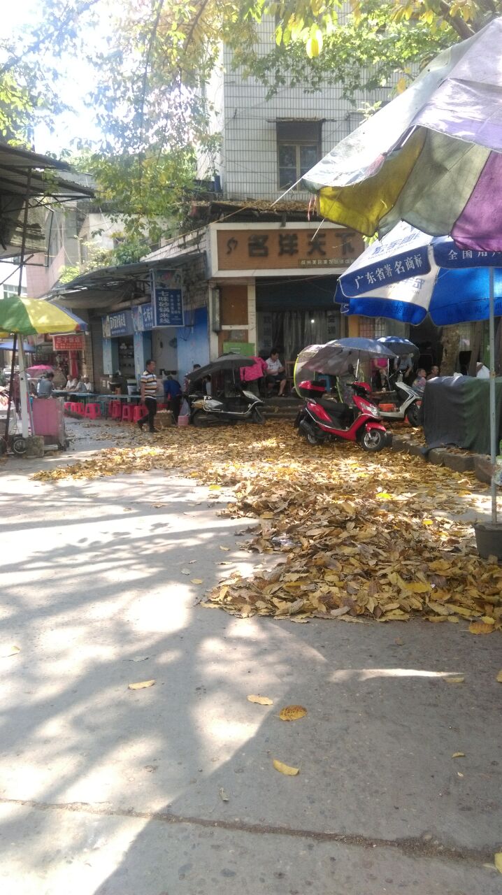 7.jpg