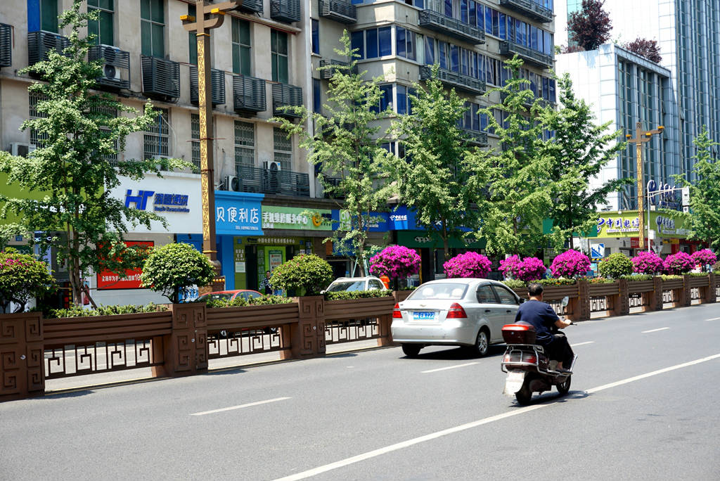DSC05996_副本.jpg