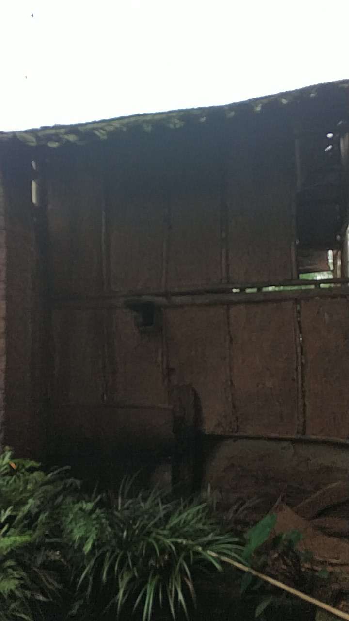 20180518_7494339_1526604206544.jpg