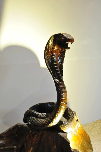 DSC_5666_o,.jpg