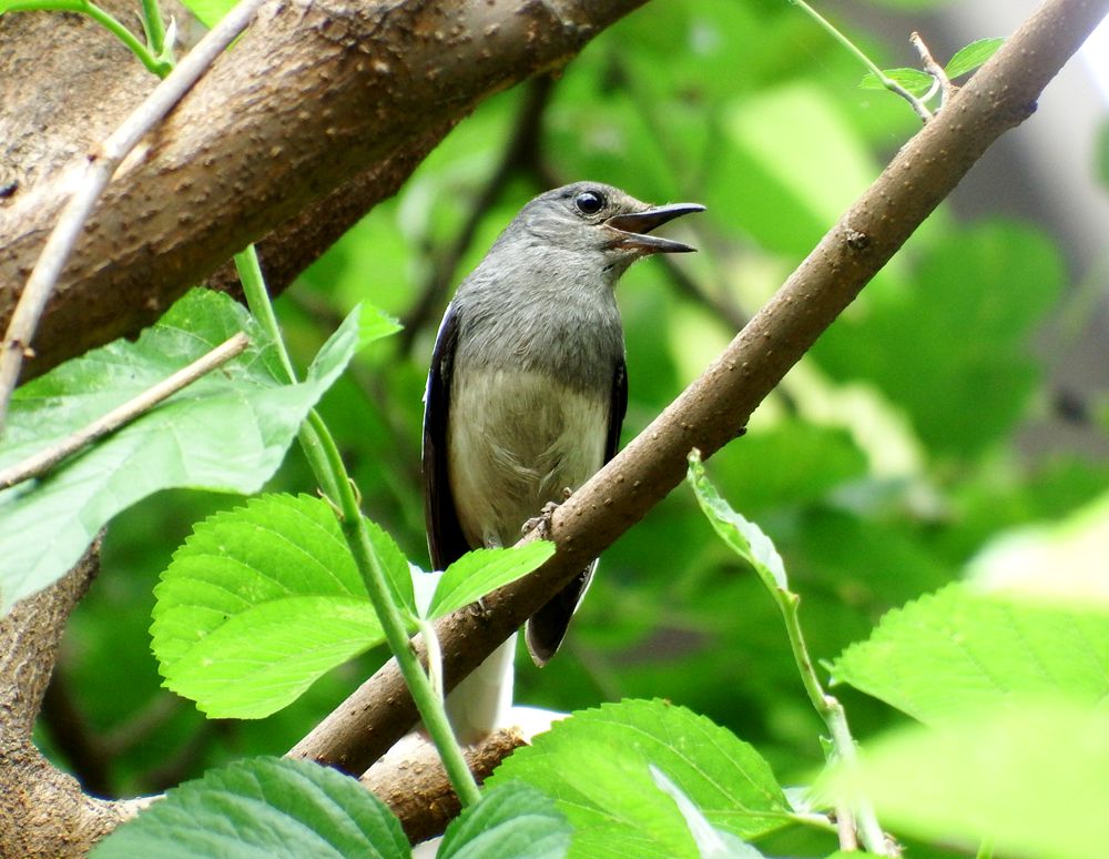 DSCF8504_副本.jpg