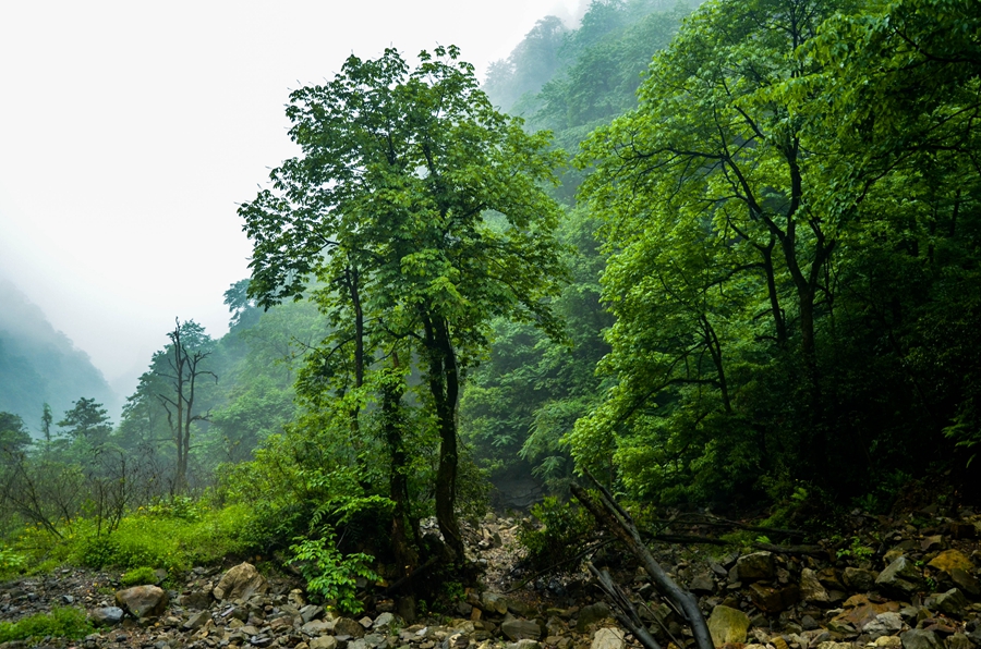 DSC_6818.jpg