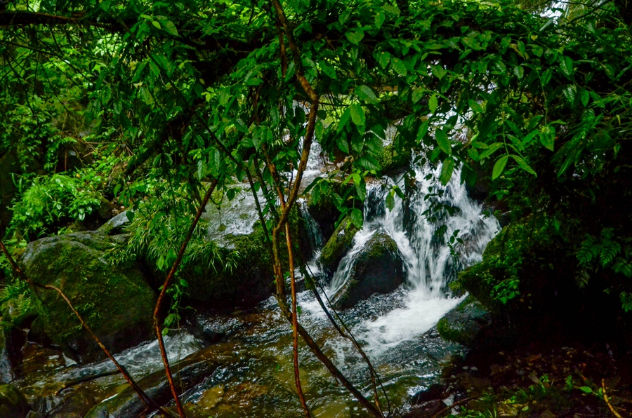 DSC_6834.jpg