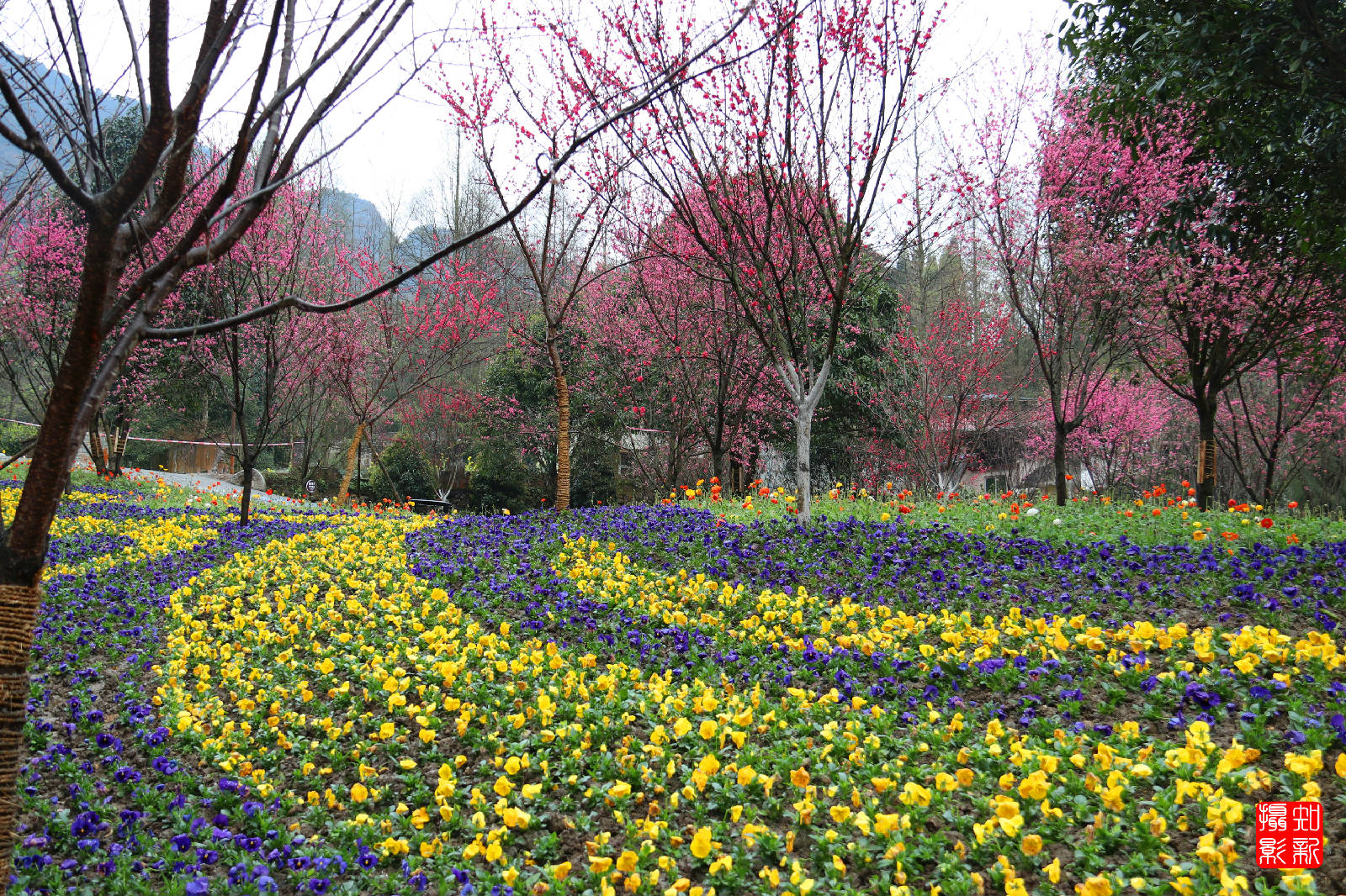 IMG_2749_副本.jpg