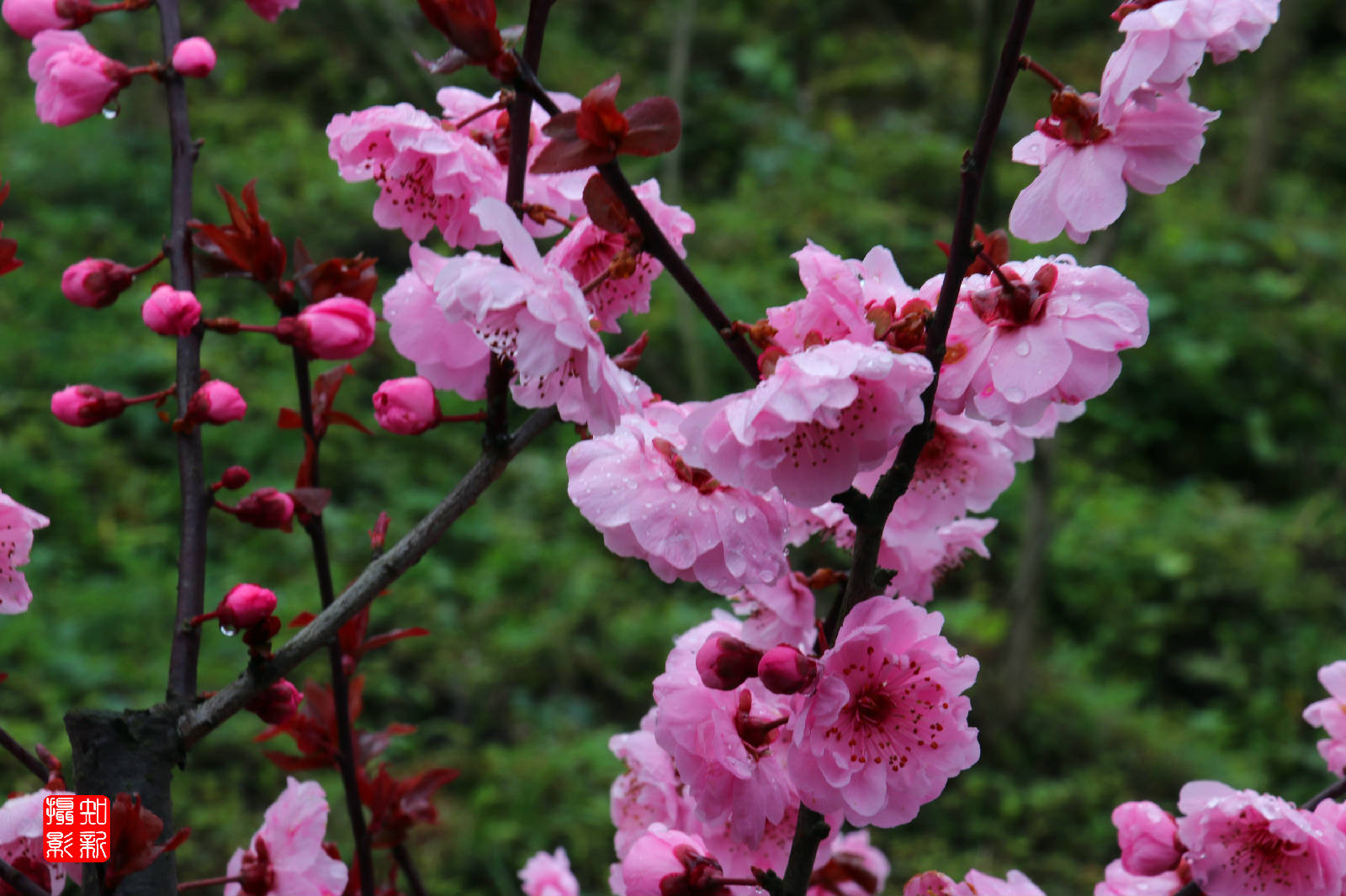 IMG_2774_副本.jpg