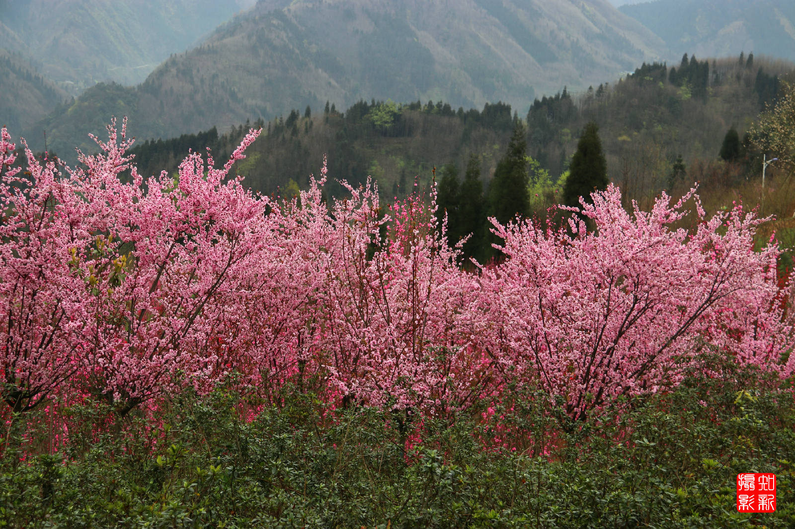 IMG_2814_副本.jpg