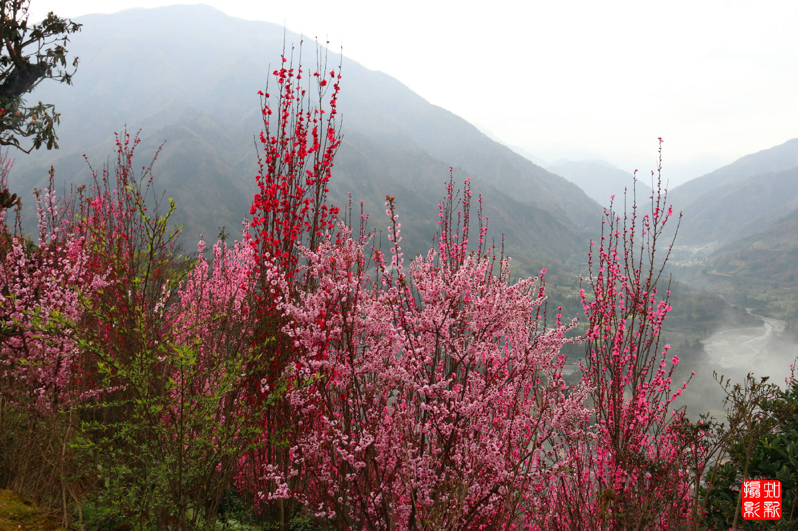 IMG_2864_副本.jpg