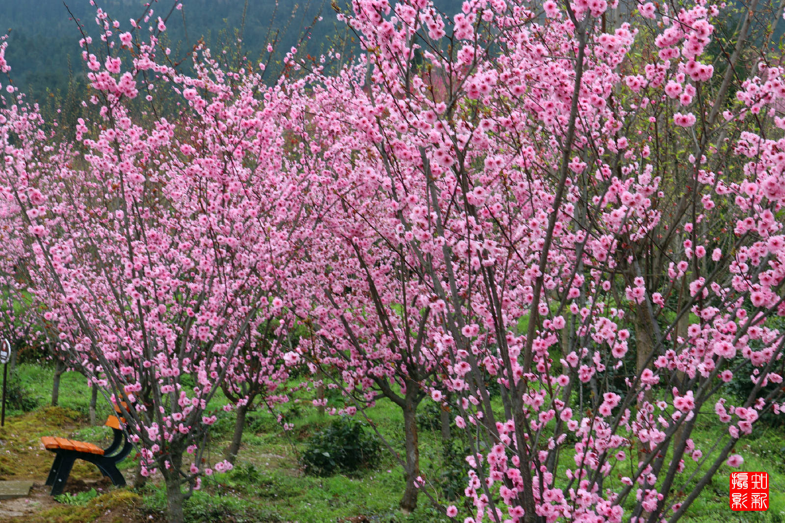 IMG_3094_副本.jpg