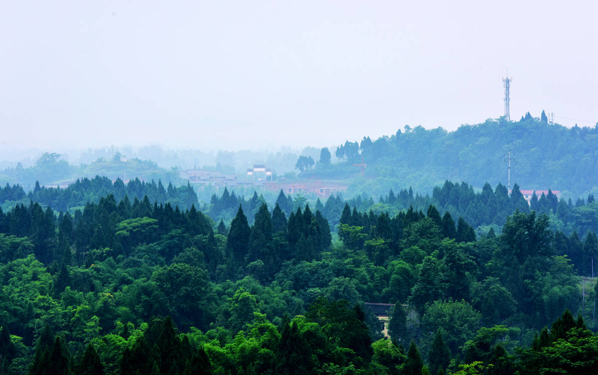 DSC_0159_副本2.jpg
