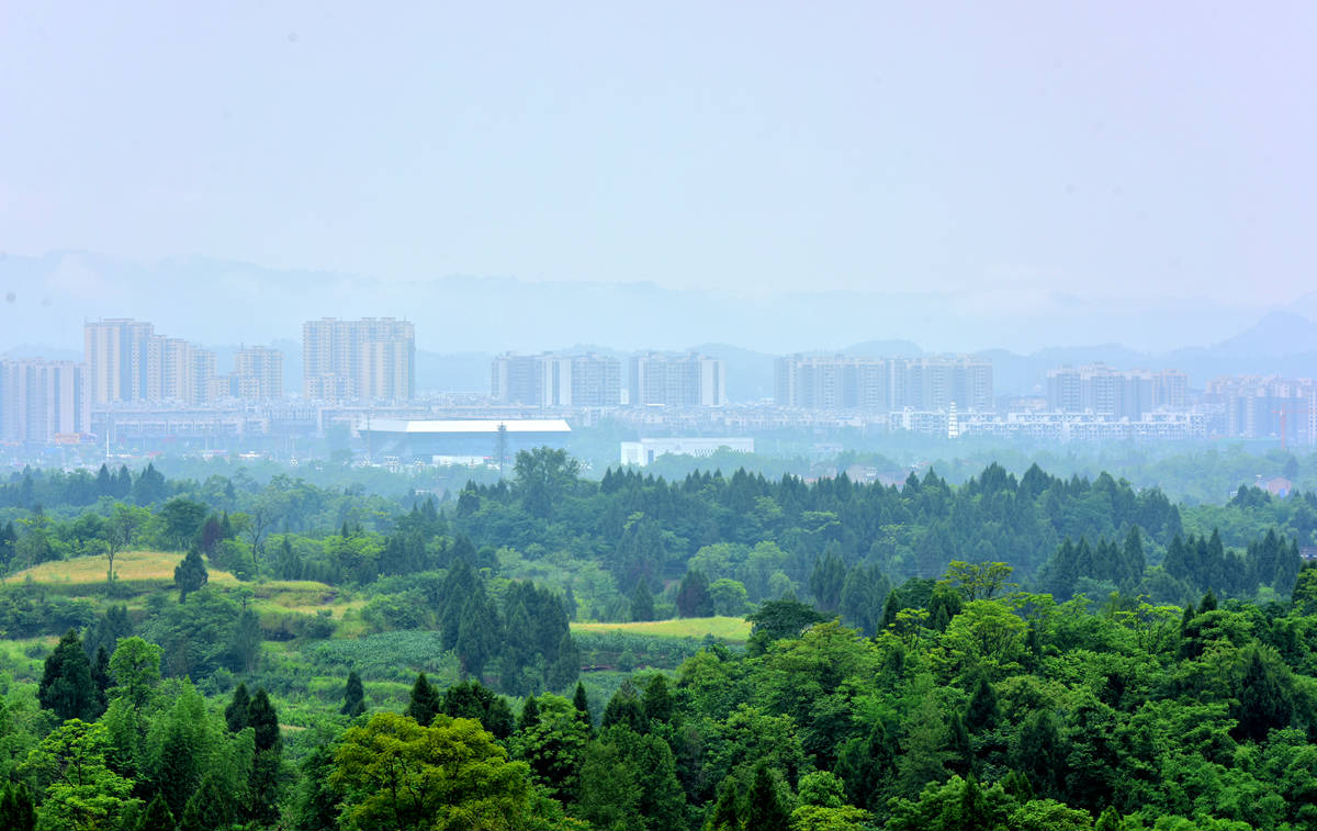 DSC_0168_副本.jpg