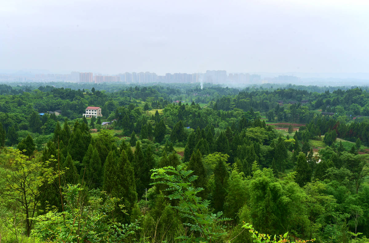 DSC_0176_副本.jpg