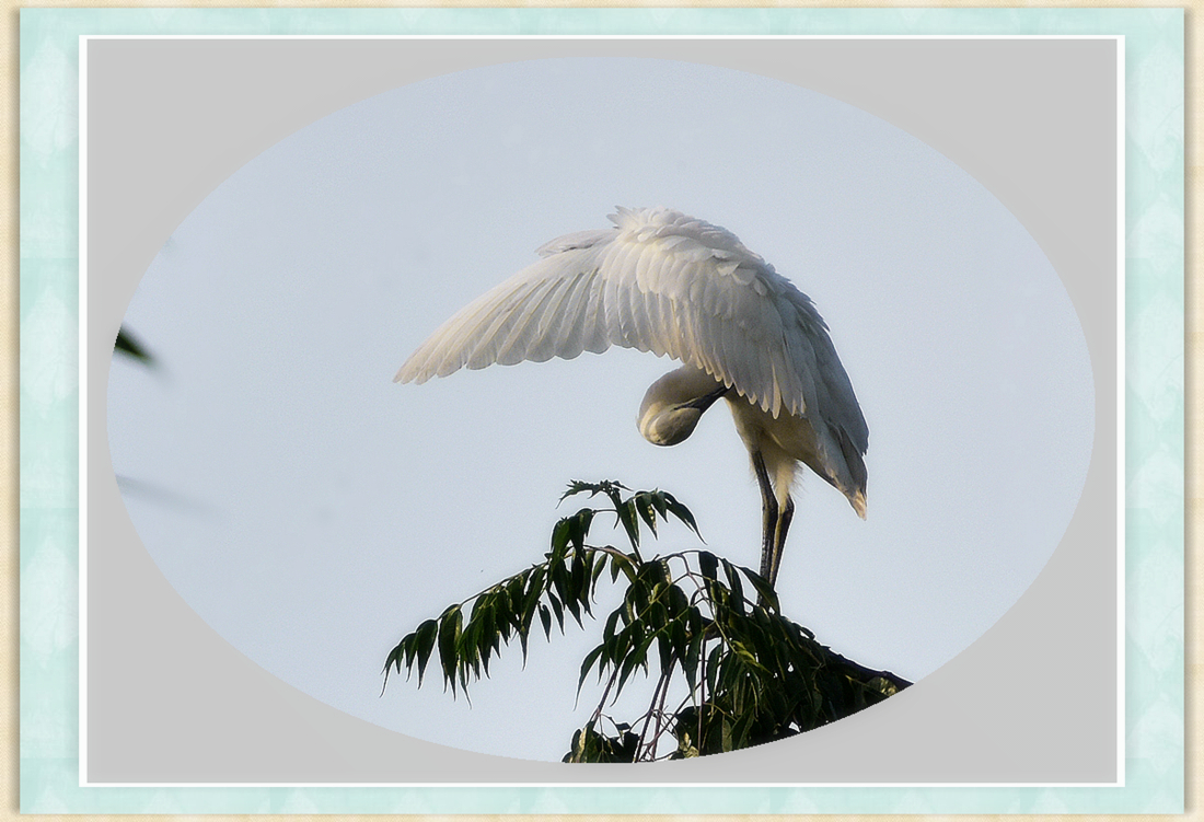 DSC_9476__conew1_.jpg