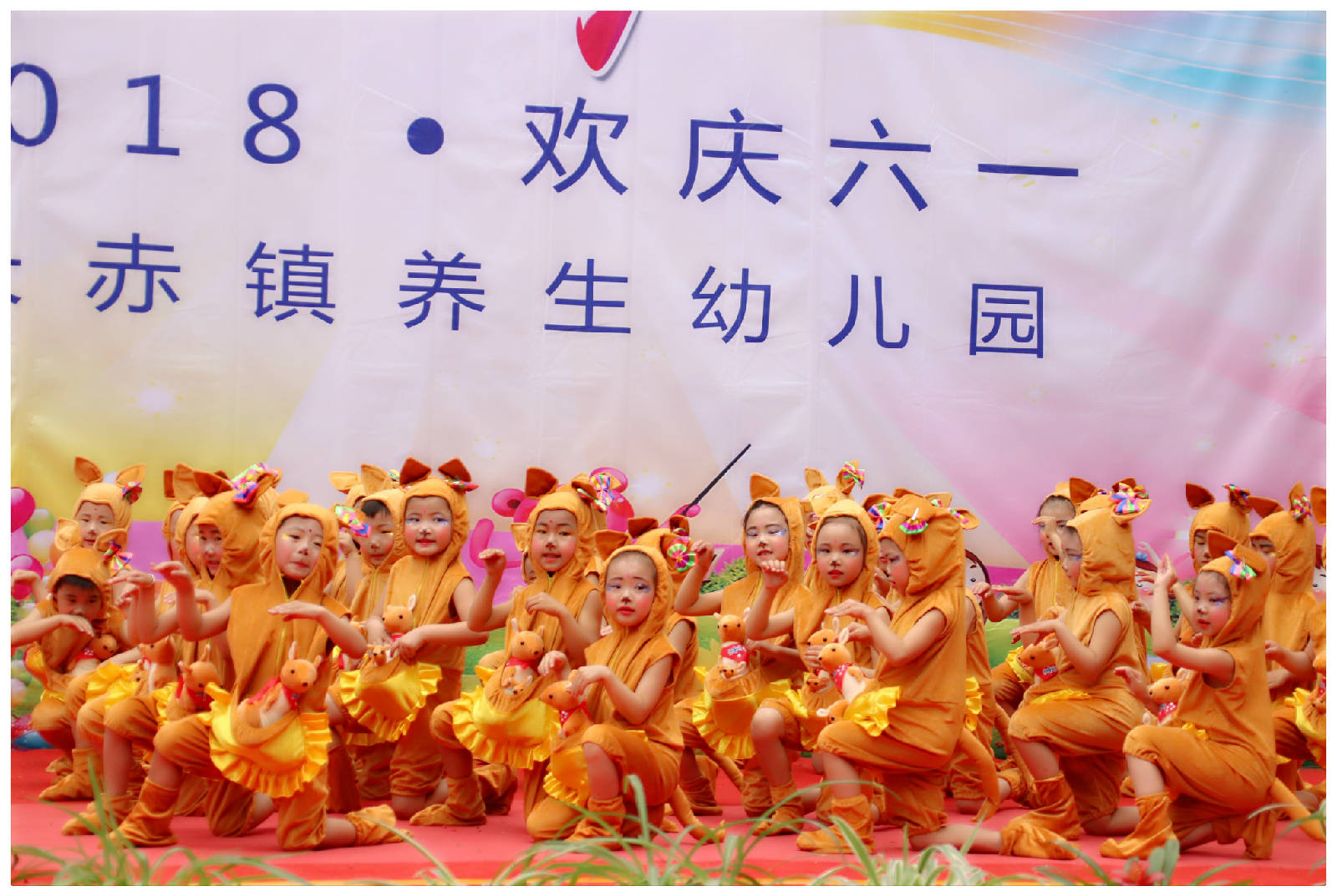 IMG_6984_爱奇