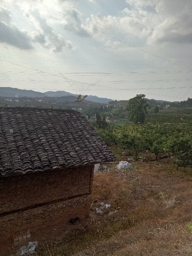 IMG20180602171425.jpg