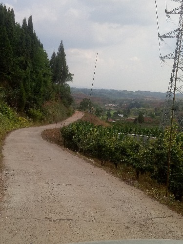 IMG20180602171233.jpg