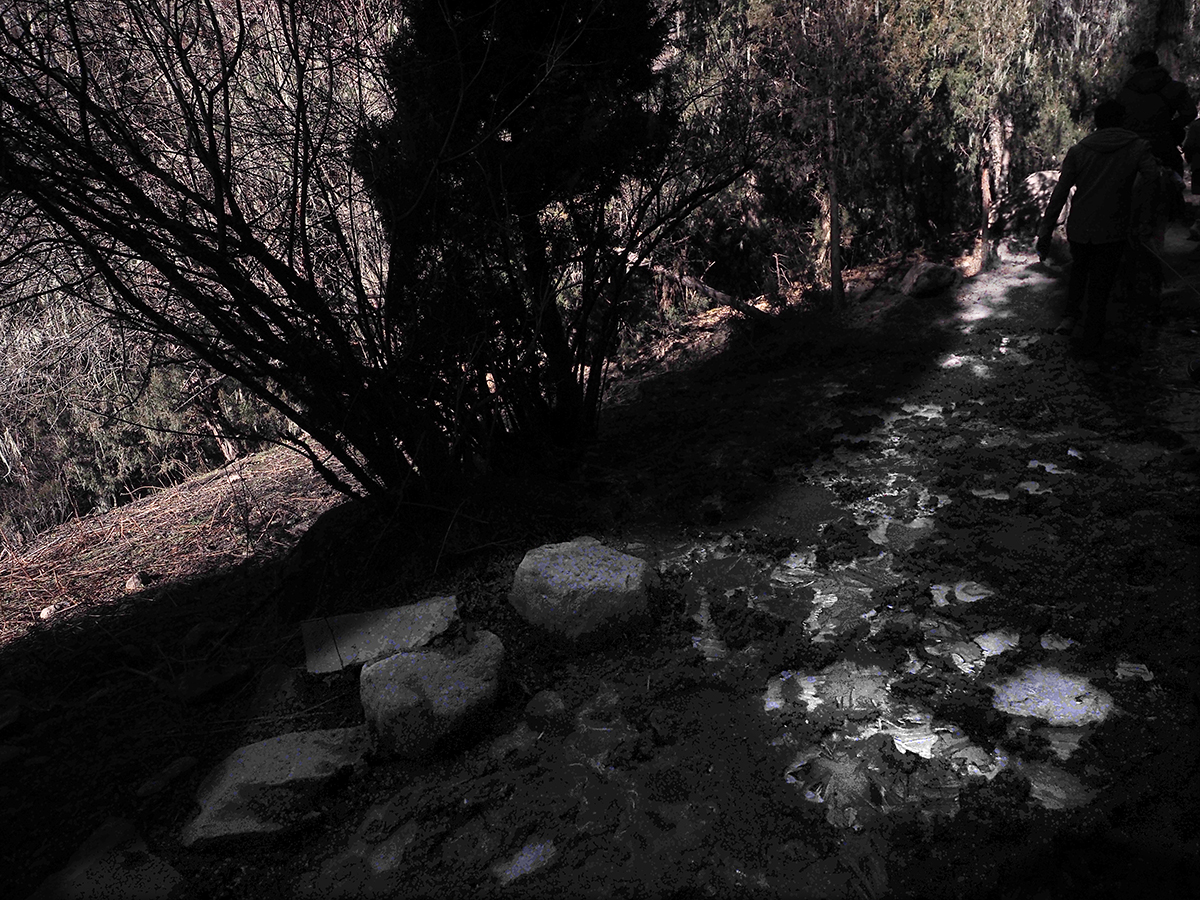 PB180262ab.jpg