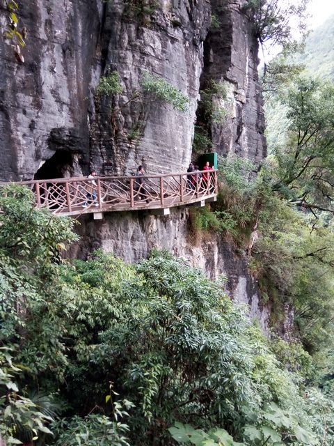 IMG_20180602_140533.jpg