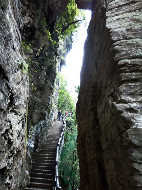 IMG_20180602_143257.jpg