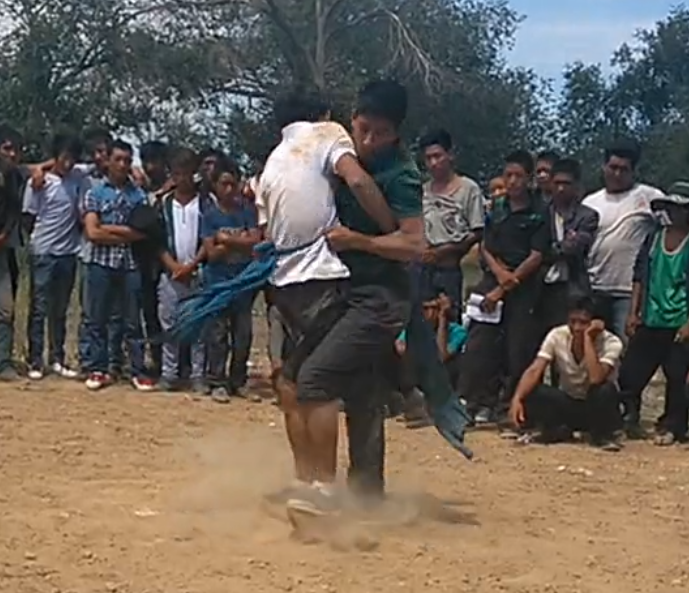 QQ截图20180602003429.png