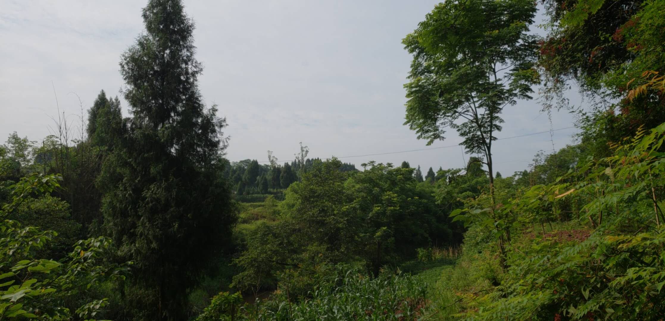΢ͼƬ_20180605132526.jpg