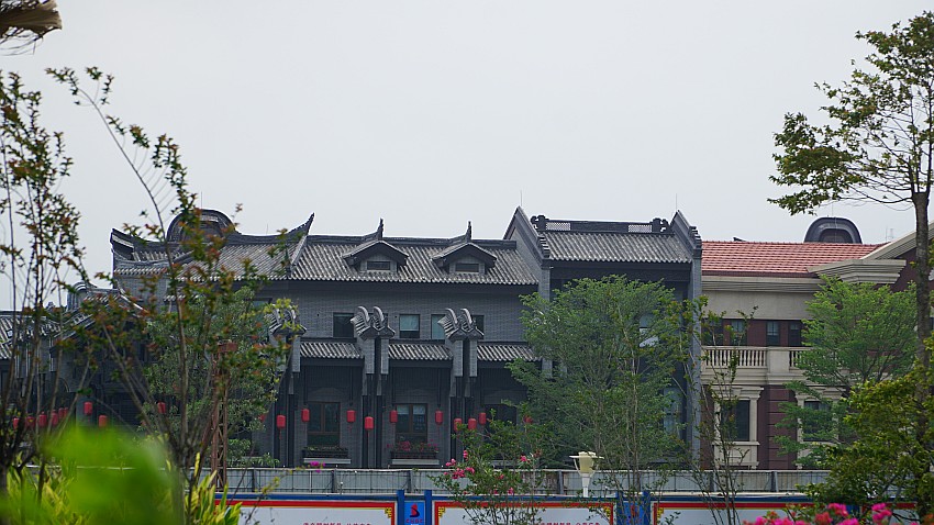 DSC05804_conew1.jpg
