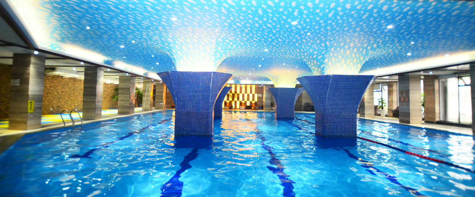 ���õ�Ӿ��