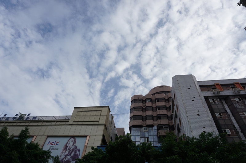 DSC06158_副本.jpg