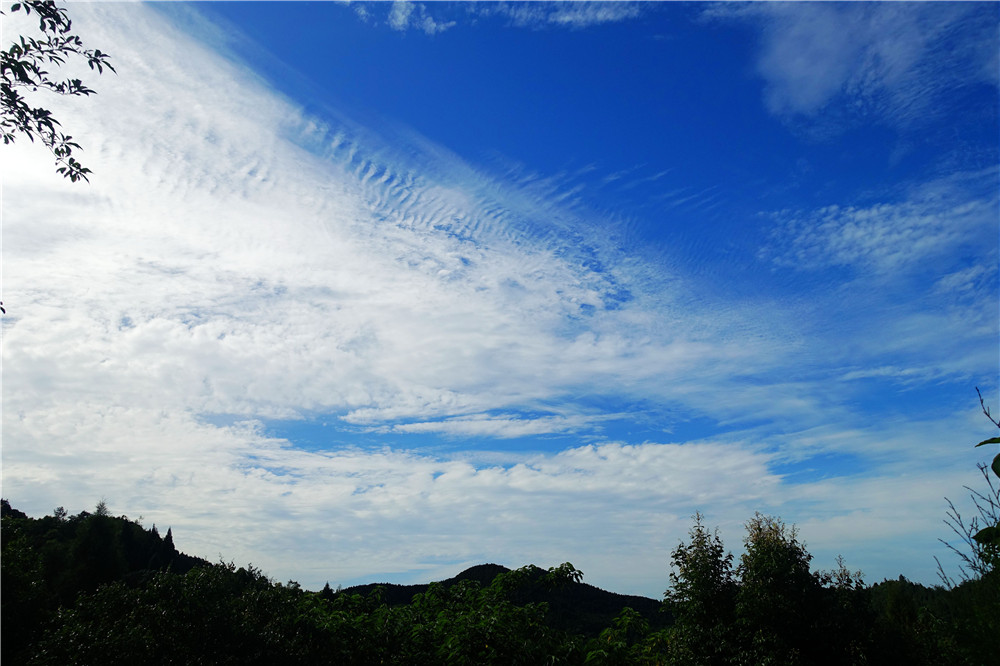 DSC00066.JPG