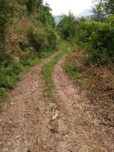 IMG_20180603_134317.jpg