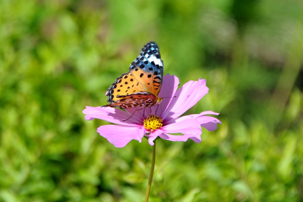 DSC_7166_副本.jpg