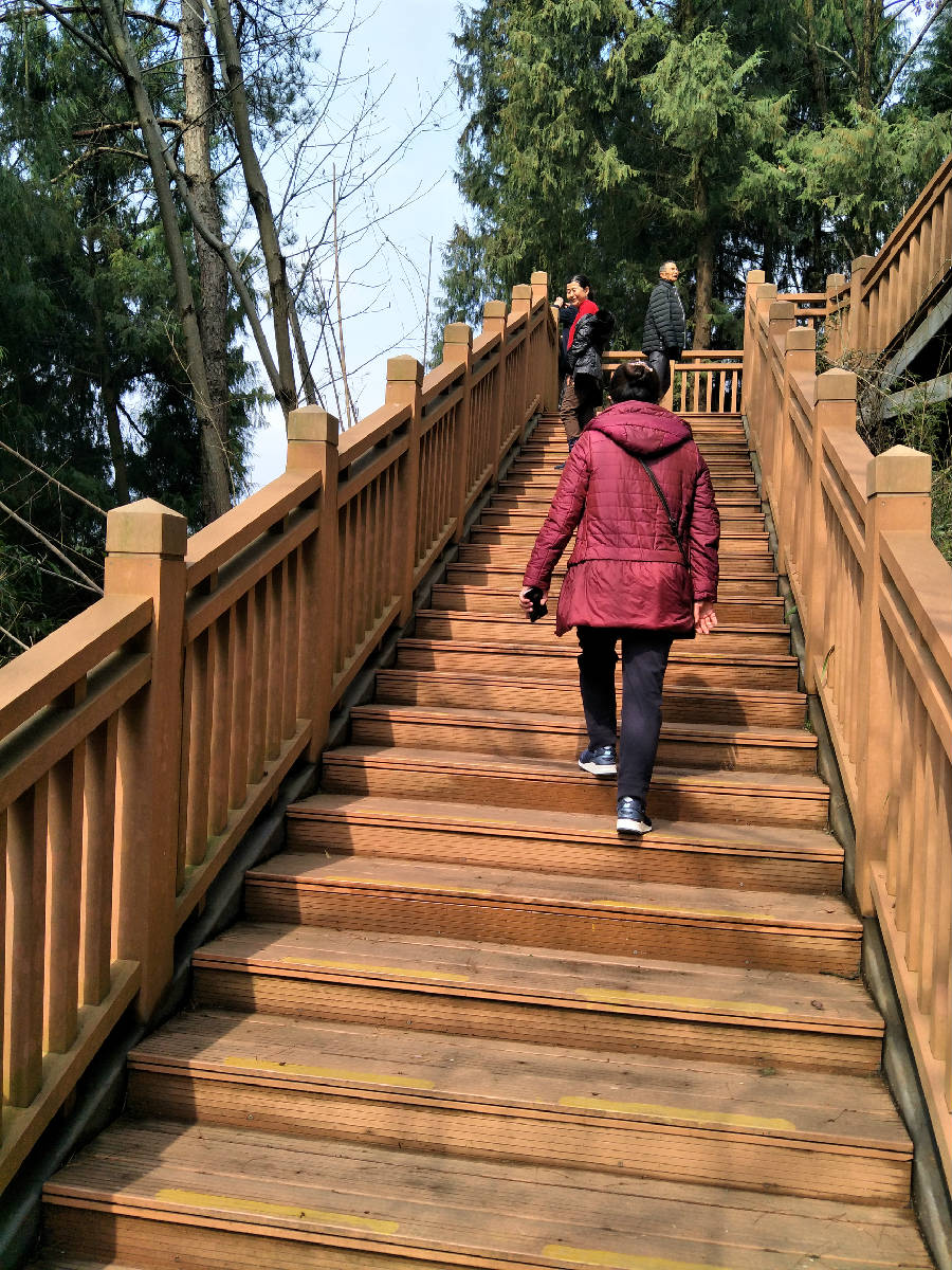 IMG20170304143422.jpg