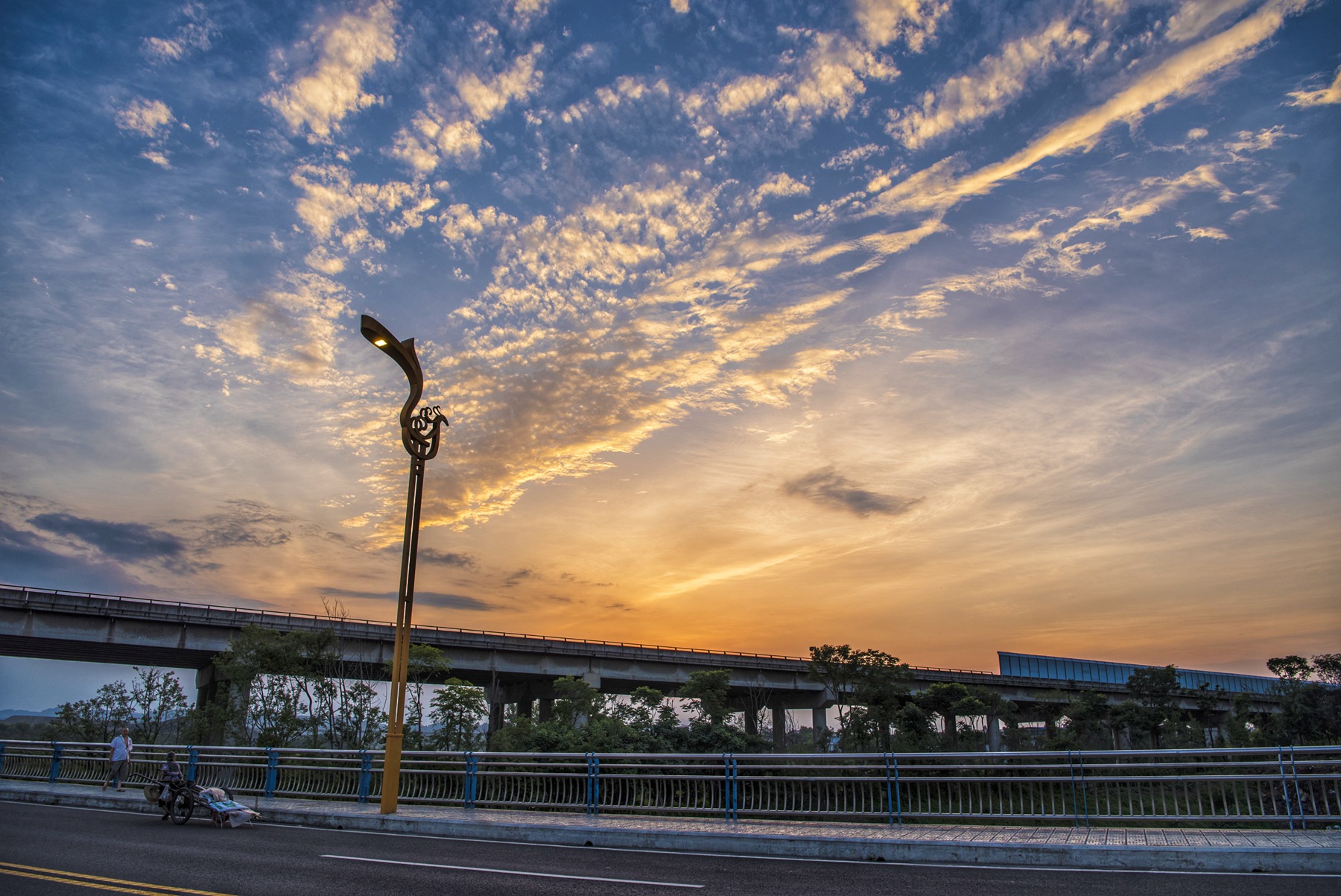 DSC_4861-01.jpeg