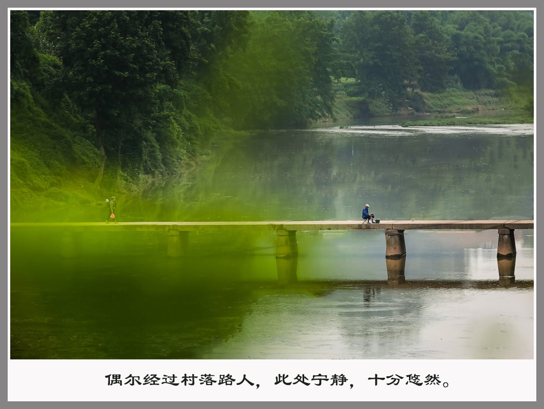 181A3917.jpg