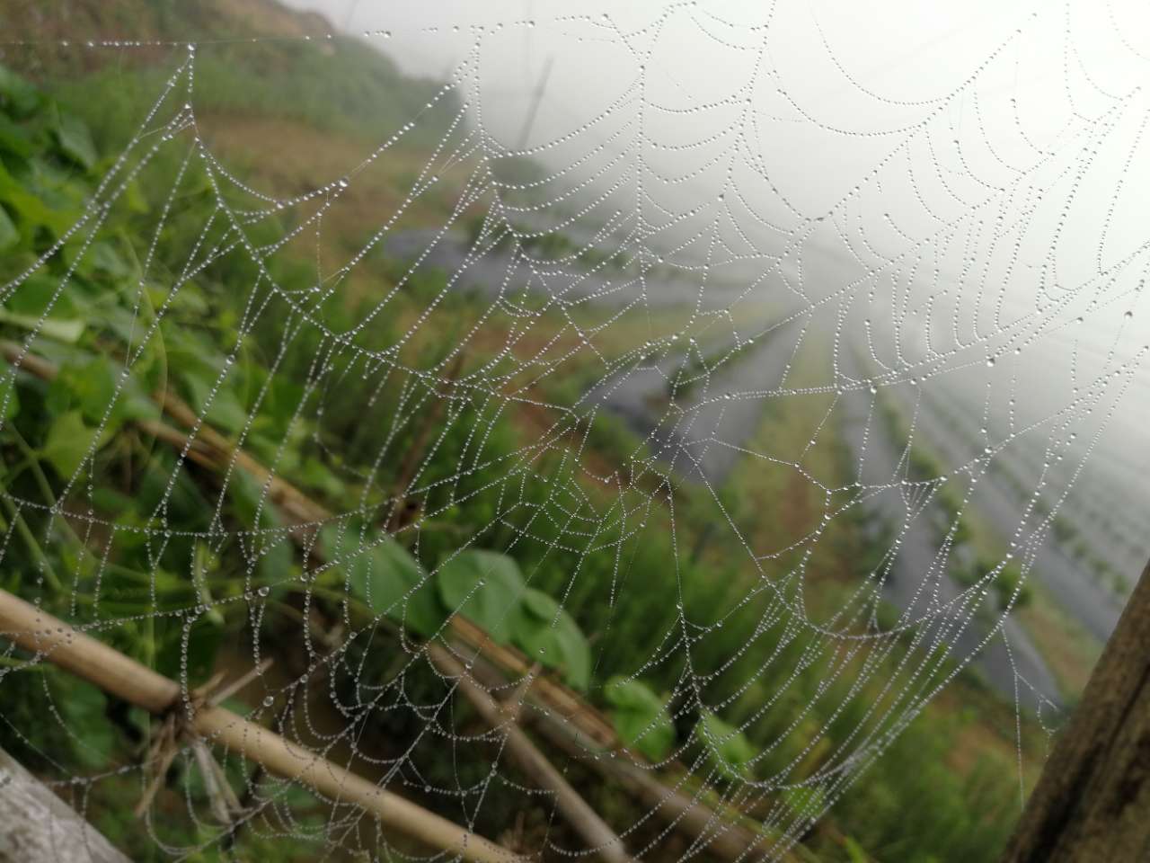 20180611_1348414_1528695580123.jpg