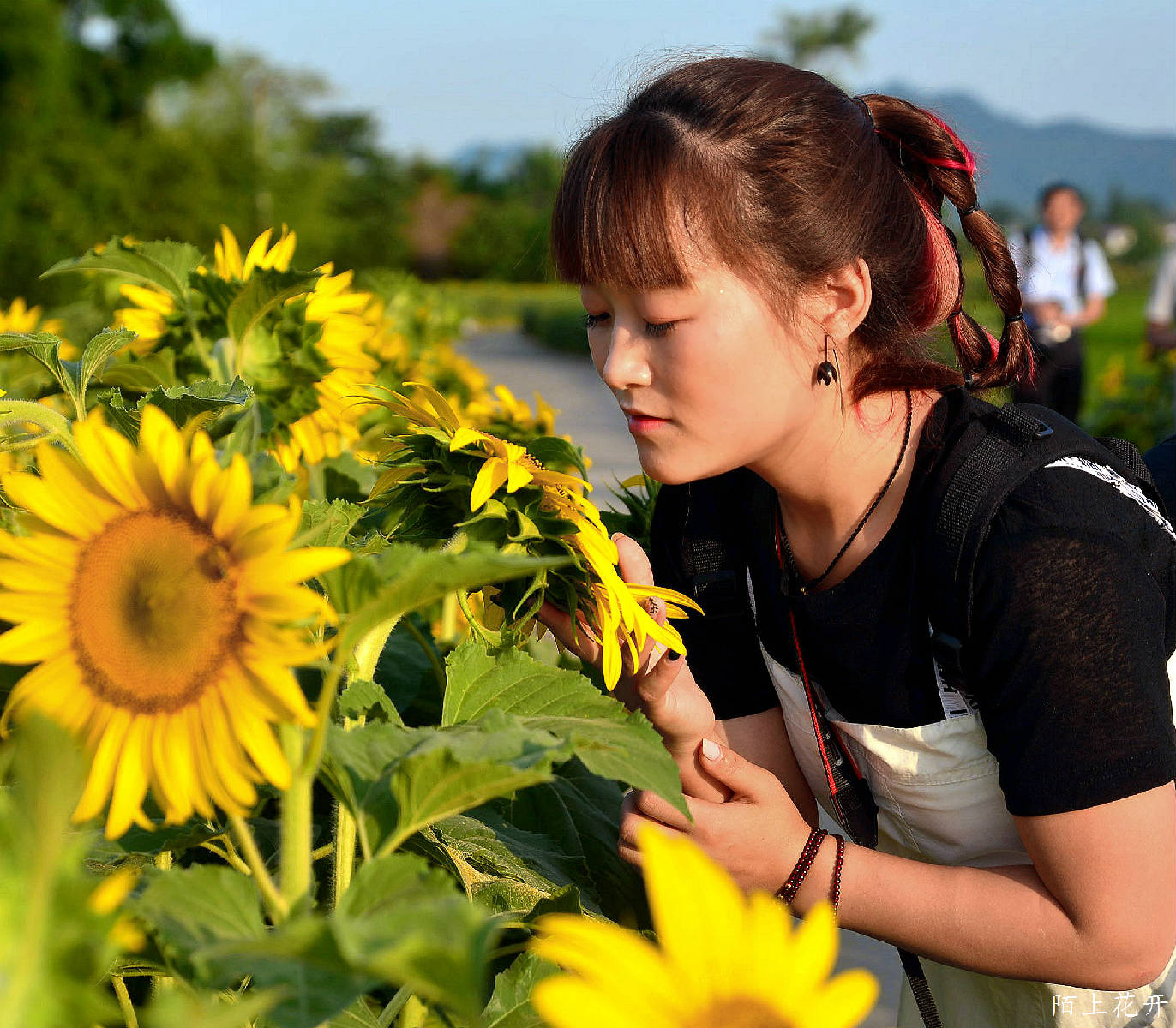 DSC_8629_副本.jpg