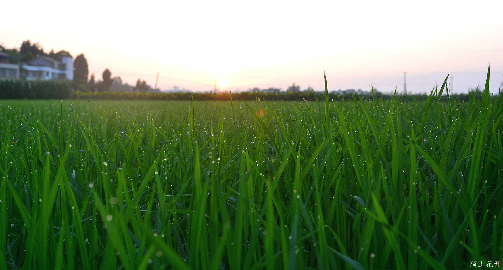 DSC_8744_副本.jpg