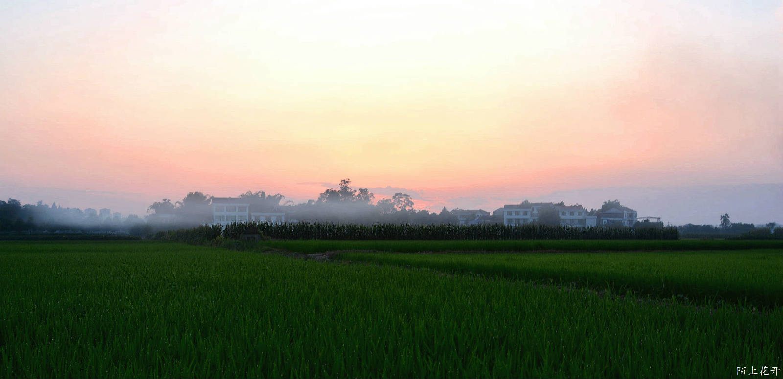DSC_8746_副本.jpg