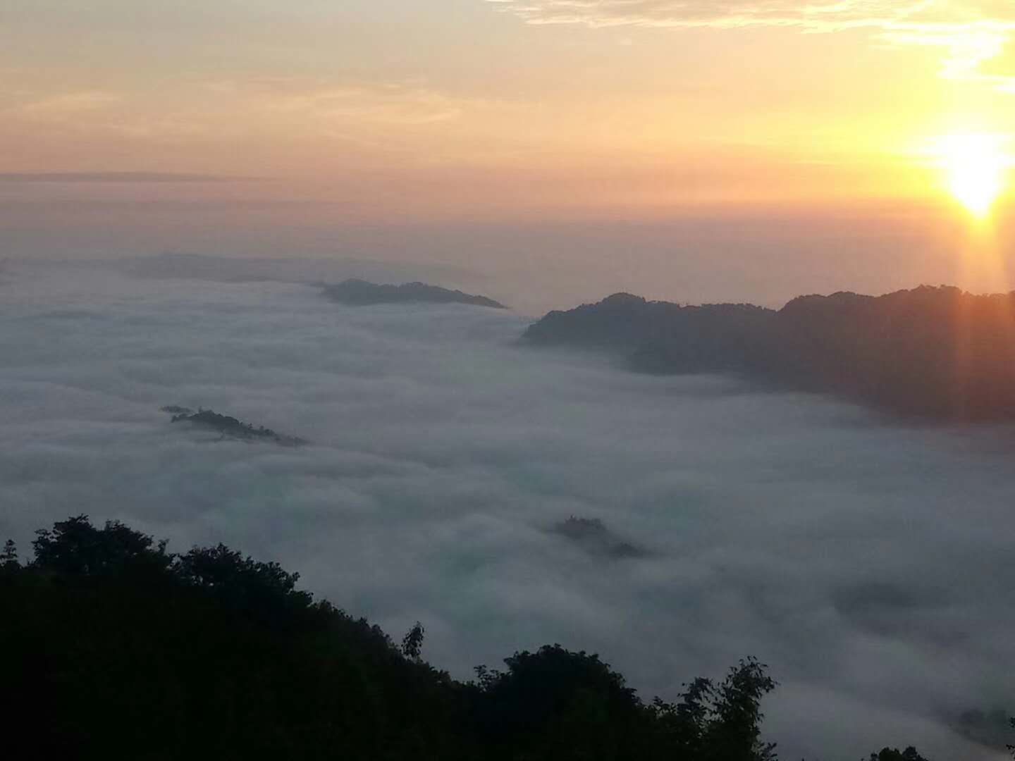 微信图片_20180612084920.jpg