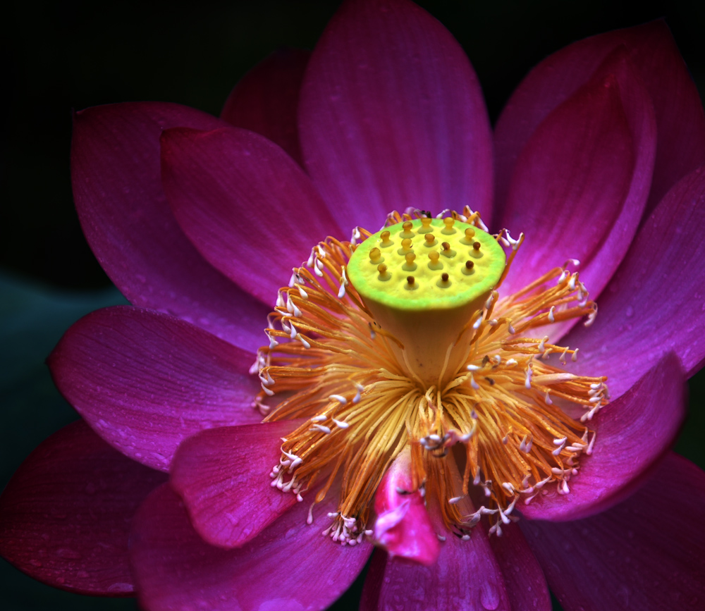 FXN_0086.JPG