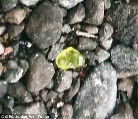 4D318C2400000578-5840685-A_blurry_image_of_a_large_paler_olivine_found_in_Hawaii.jpg
