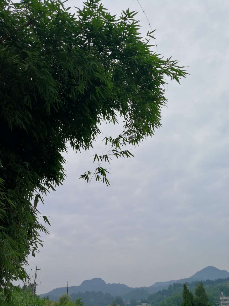 20180617_6080161_1529192818542.jpg