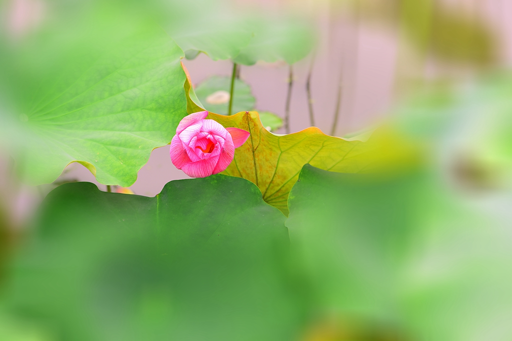 DSC_3495.jpg