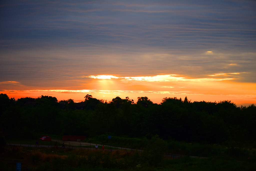 DSC_4121.jpg