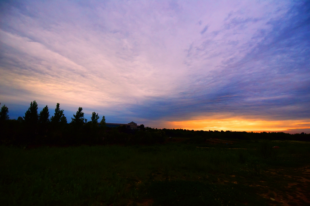 DSC_4162.jpg